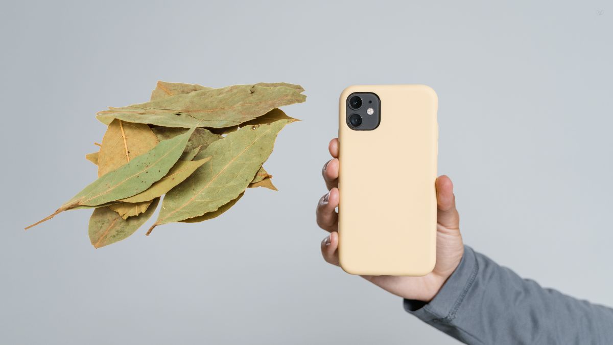 Qué ocurre si colocas una hoja de laurel en la funda del teléfono