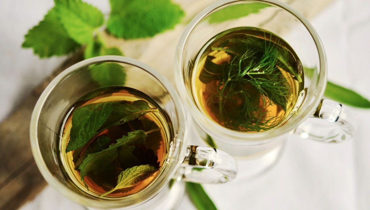 Cómo usar el té de lechuga para dormir mejor por las noches y decirle adiós al insomnio