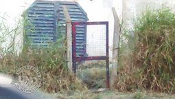 Evitando la fatiga