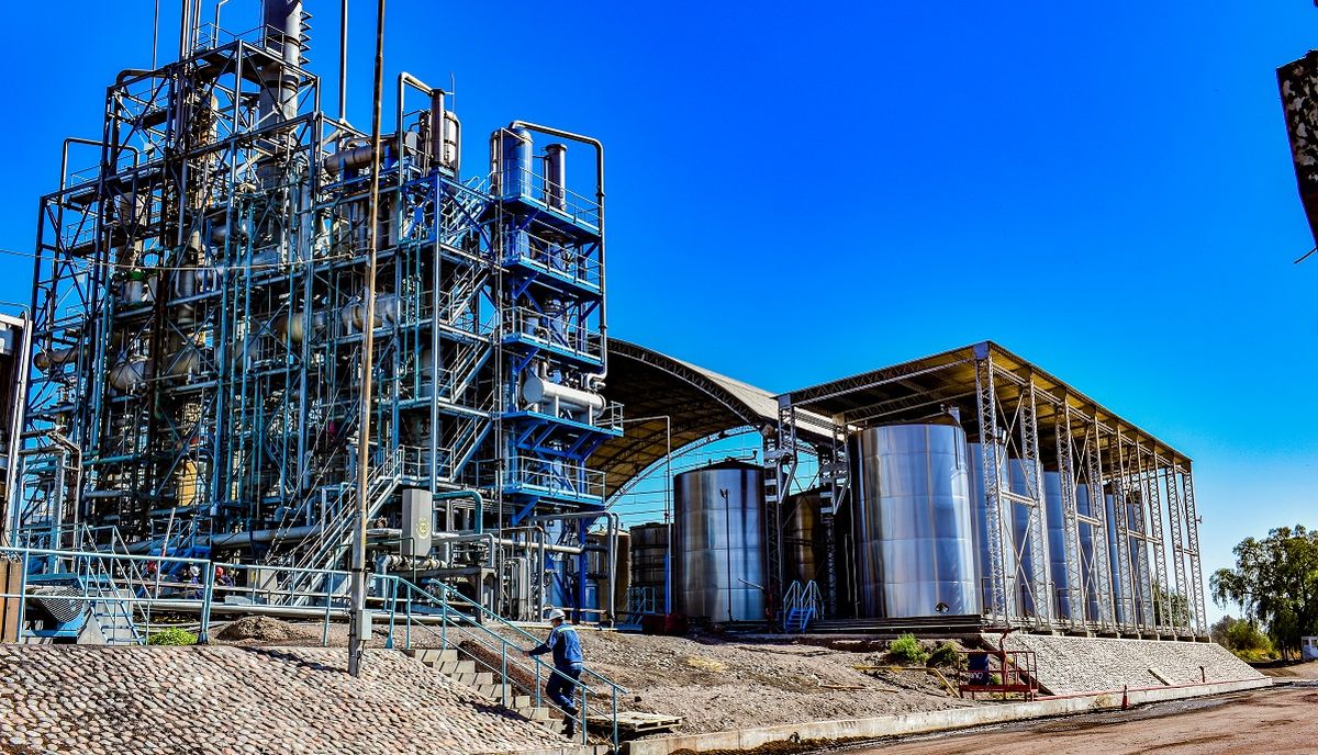 Dervinsa transforma los residuos verdes en bioproductos como ácido tartárico, alcohol vínico y aceite de pepita de uva. Dervinsa transforma los residuos verdes en bioproductos como ácido tartárico, alcohol vínico y aceite de pepita de uva.