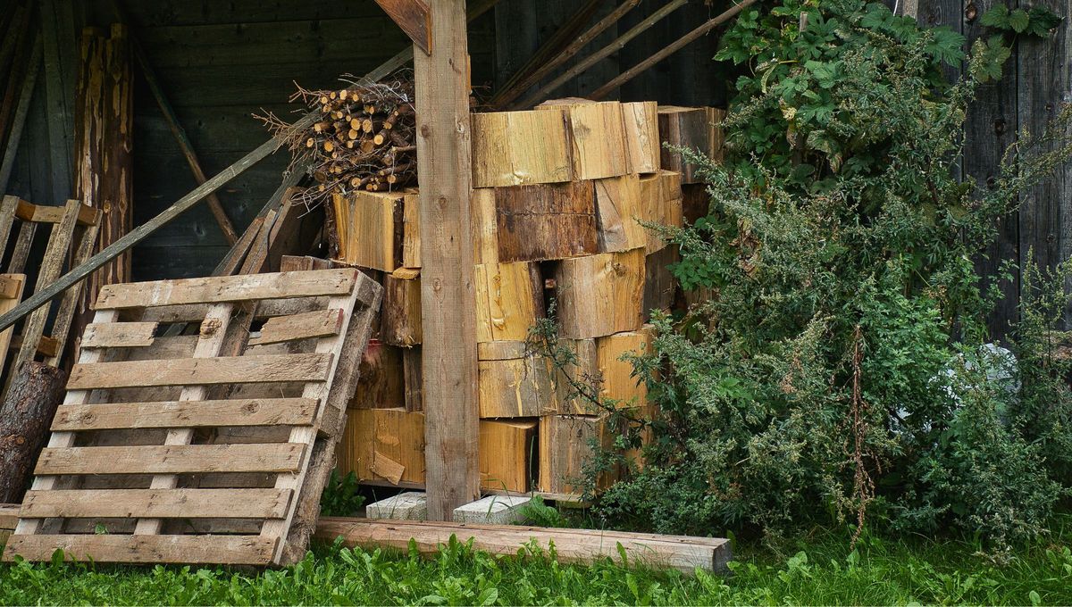 Los palets ofrecen madera resistente, económica y versátil. Quien cuenta con algunos en casa posee una materia prima ideal para crear desde muebles rústicos hasta soluciones prácticas de almacenamiento. Los palets ofrecen madera resistente, económica y versátil. Quien cuenta con algunos en casa posee una materia prima ideal para crear desde muebles rústicos hasta soluciones prácticas de almacenamiento.