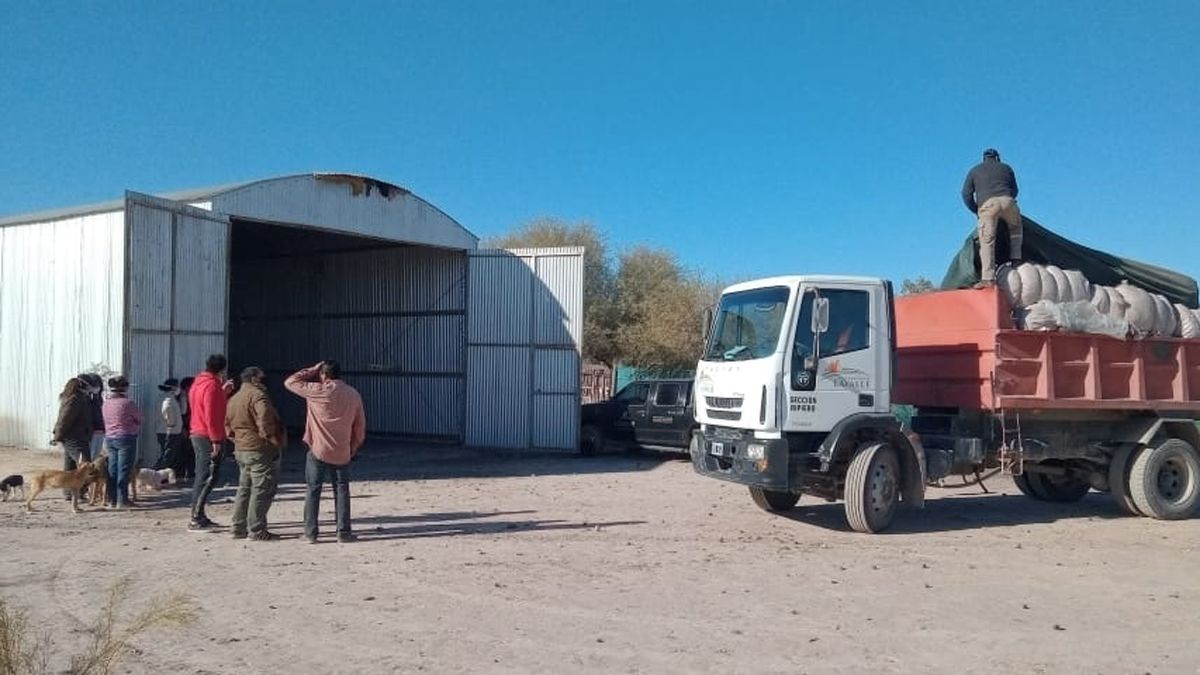 Las hilanderas de la comunidad huarpe Juan Manuel Villegas de San José recibieron 2000 kilos de lana de oveja.