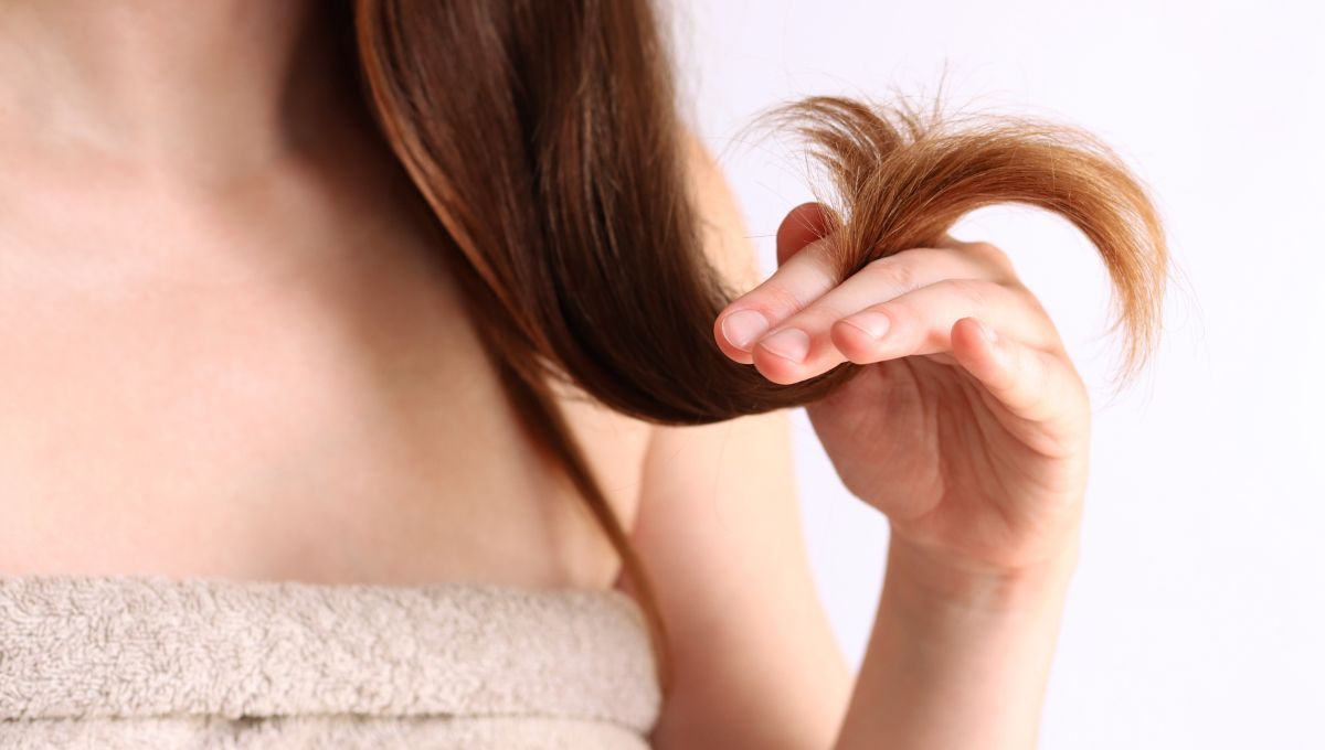 Si tu pelo está seco, tenés que probar con la rutina del pre shampoo