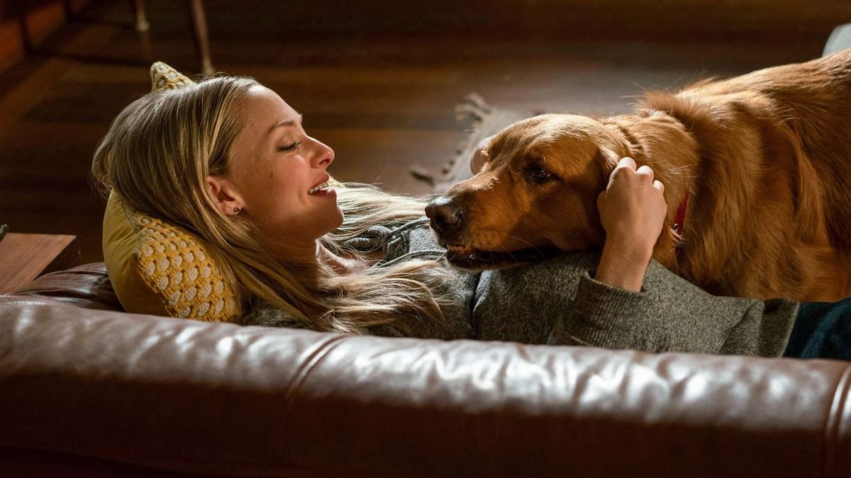 Amanda Seyfried es la protagonista de esta película de Netflix. 