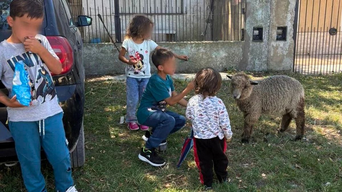 Los hijos de la familia Matmud vivieron un episodio muy traumático al llegar de vacaciones a Mar del Plata. Los hijos de la familia Matmud vivieron un episodio muy traumático al llegar de vacaciones a Mar del Plata.