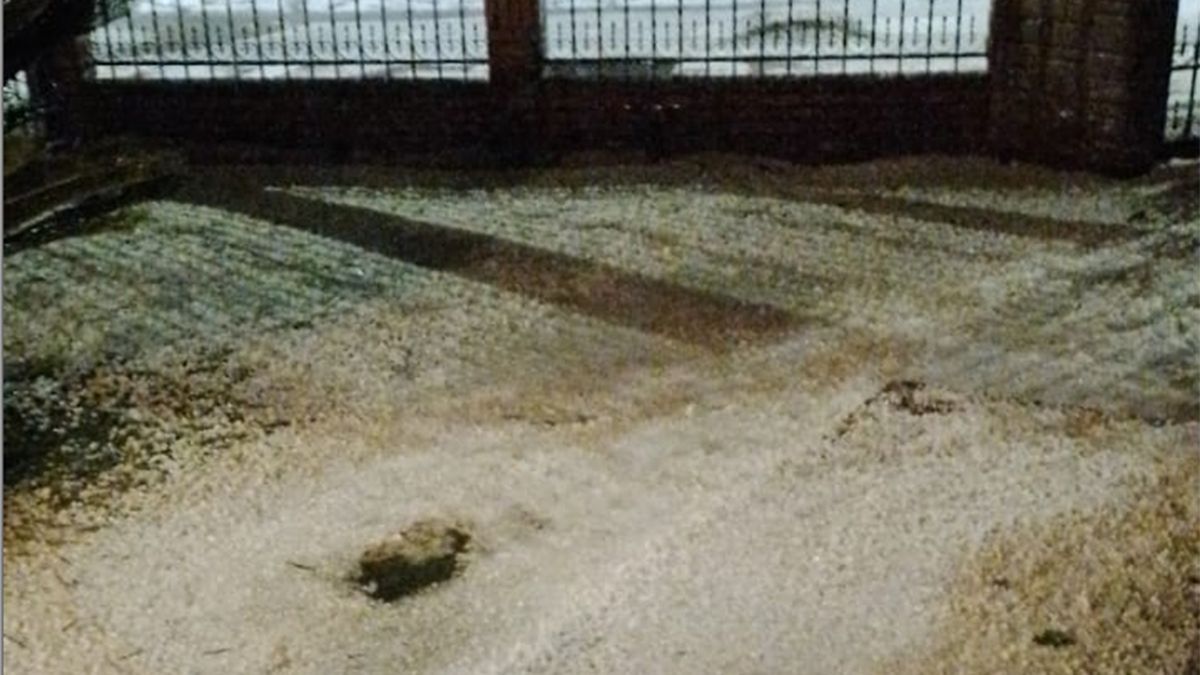 El piso se tiñó de blanco por la gran caída de piedra que se registró en el Este mendocino.