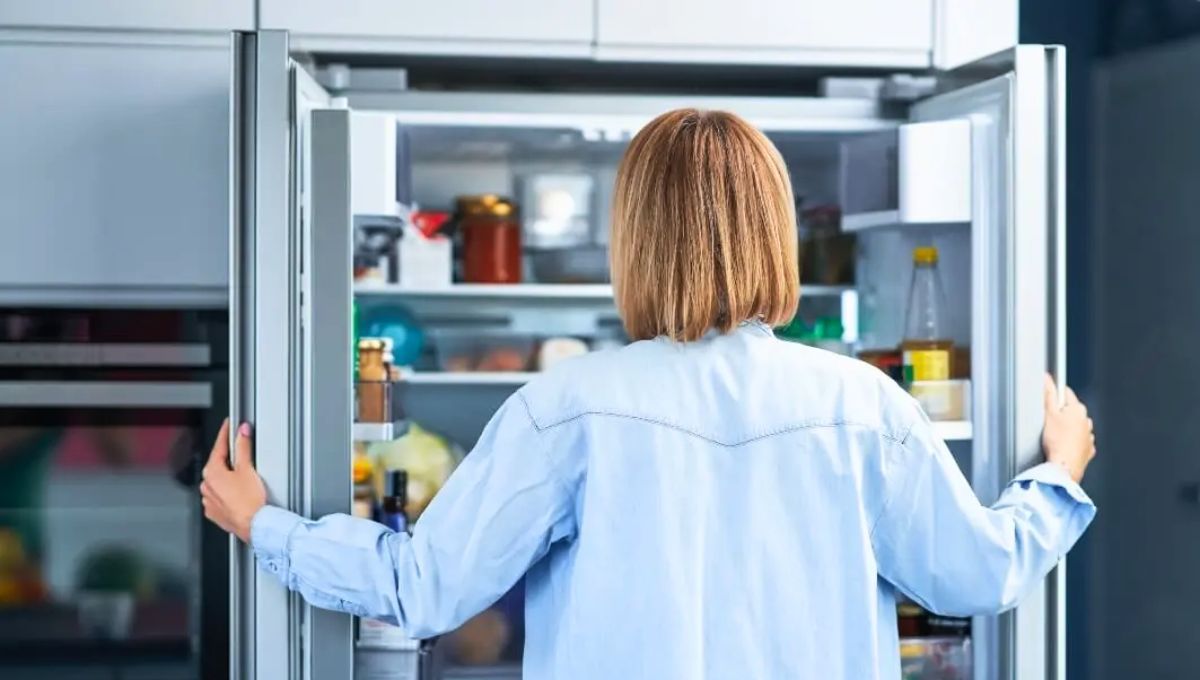 La heladera desaparecerá tal y como la conocemos