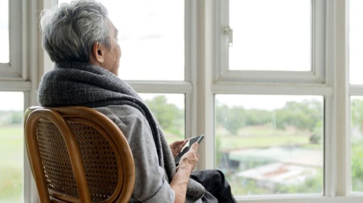 La poderosa planta medicinal que detendría el avance del Alzheimer y da múltiples beneficios para la salud La poderosa planta medicinal que detendría el avance del Alzheimer y da múltiples beneficios para la salud