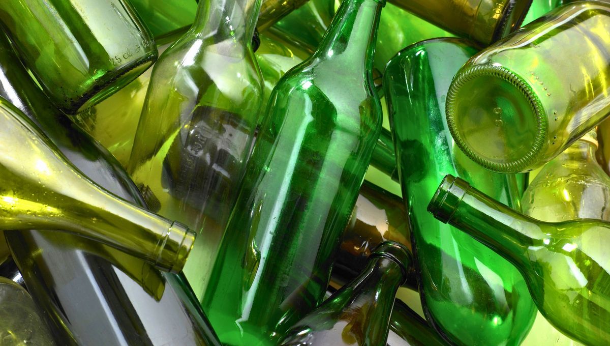 Las botellas de vidrio pueden constituir un eficiente sistema de riego para tu árbol limonero Las botellas de vidrio pueden constituir un eficiente sistema de riego para tu árbol limonero