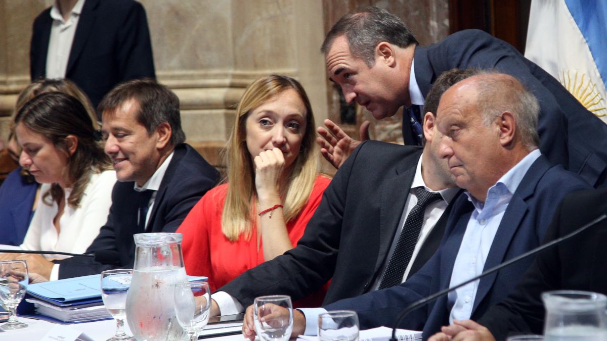 Anabel Fernández Sagasti, uno de los alfiles del peronismo en la Cámara Alta. Anabel Fernández Sagasti, uno de los alfiles del peronismo en la Cámara Alta.