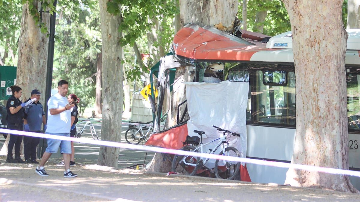 El chofer del micro murió en el acto tras impactar contra un árbol.