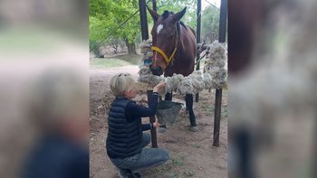 El proyecto de Ley Ágata busca multas millonarias y prisión efectiva para quienes cometan maltrato animal en Mendoza