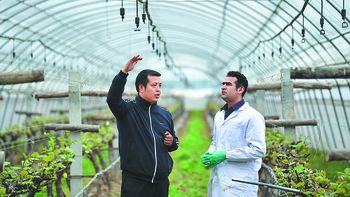 Los beneficios que traen las tecnologías chinas