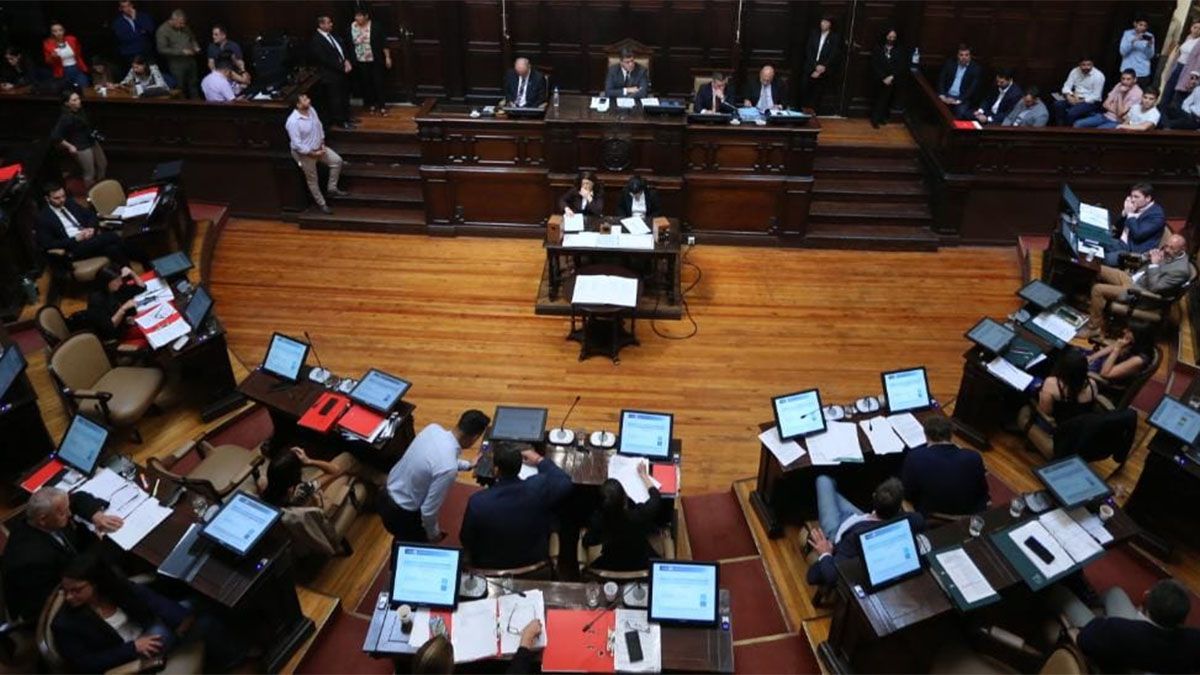 Ley de Alfabetización: el proyecto tuvo media sanción en el Senado de la provincia.