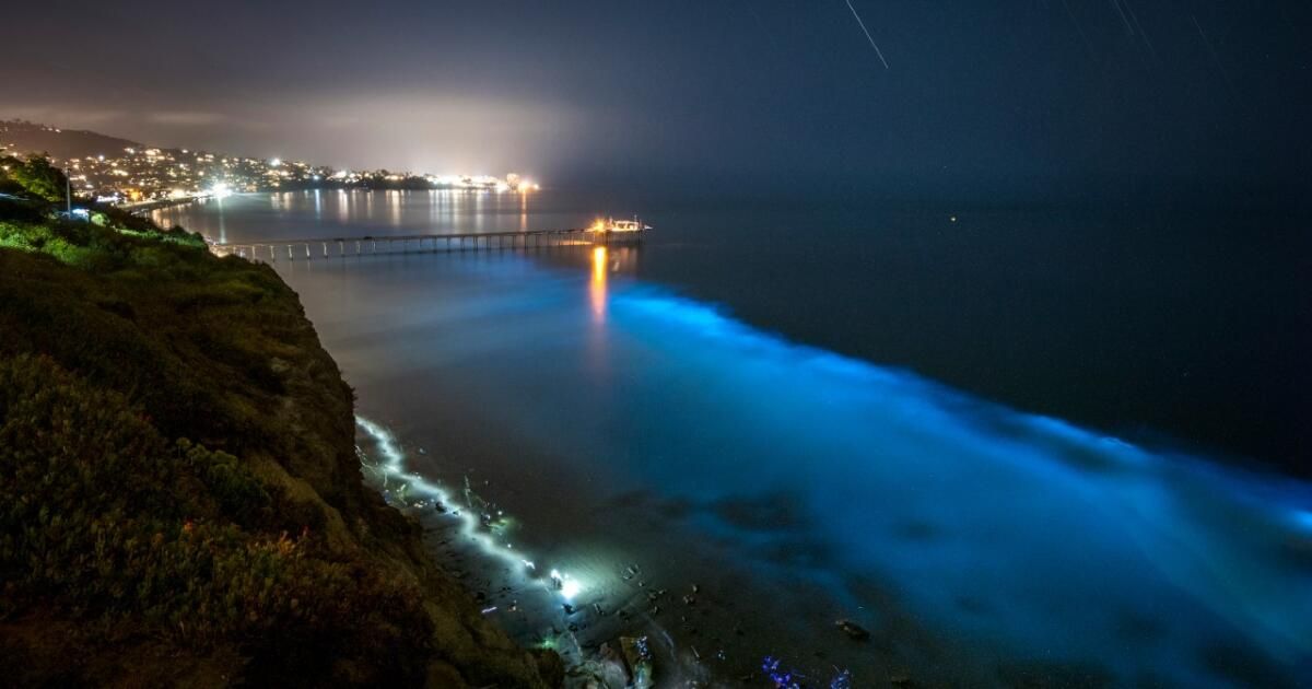Las playas de California, si las condiciones son las adecuadas, pueden ofrecer una noche mágica. Las playas de California, si las condiciones son las adecuadas, pueden ofrecer una noche mágica.