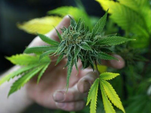 La marihuana puede aumentar las complicaciones del corazón
