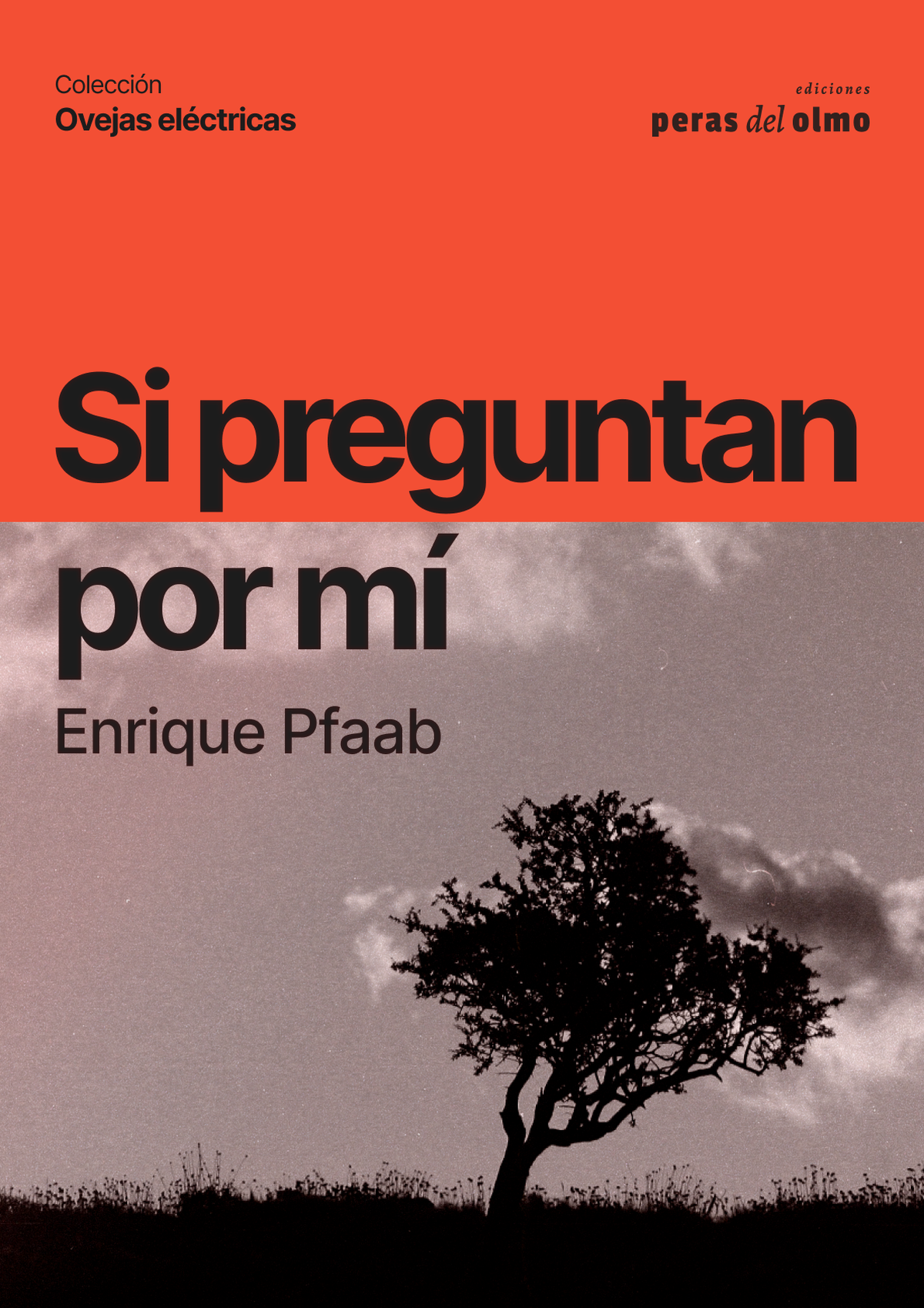 El nuevo libro de Enrique Pfaab El nuevo libro de Enrique Pfaab