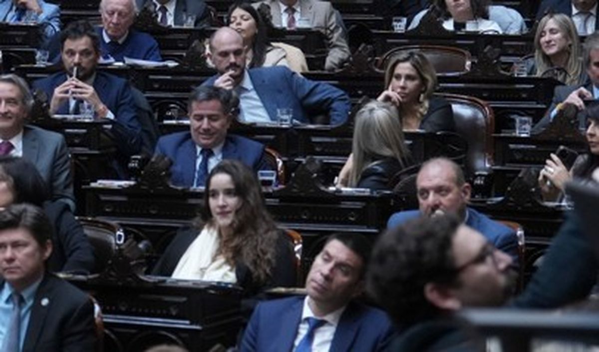 Libertarios mendocinos. En esta imagen aparecen Facundo Correa Llano (al medio, abajo); Álvaro Martínez (arriba, a la izquierda) y Mercedes Llano (arriba, a la derecha). Fue la sesión en la que el oficialismo logró sostener el veto presidencial al aumento de las jubilaciones. Libertarios mendocinos. En esta imagen aparecen Facundo Correa Llano (al medio, abajo); Álvaro Martínez (arriba, a la izquierda) y Mercedes Llano (arriba, a la derecha). Fue la sesión en la que el oficialismo logró sostener el veto presidencial al aumento de las jubilaciones.