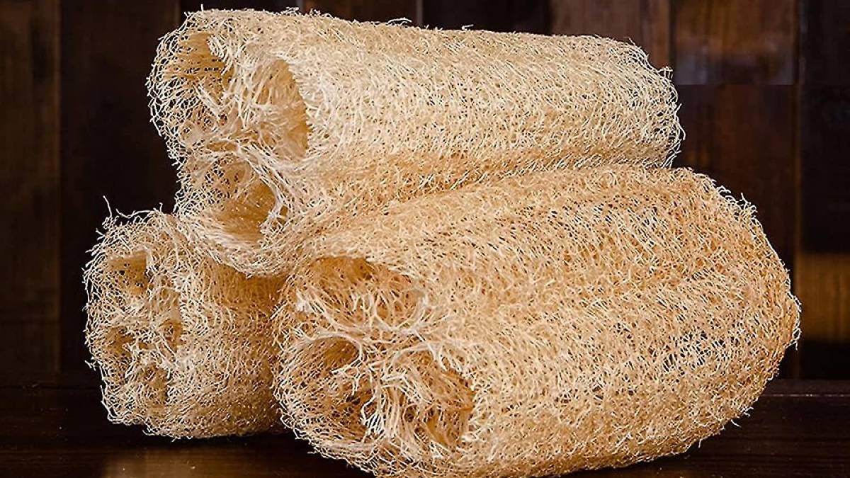 Recicla la esponja vegetal vieja que tienes en el baño y conviértela en esta fabulosa idea