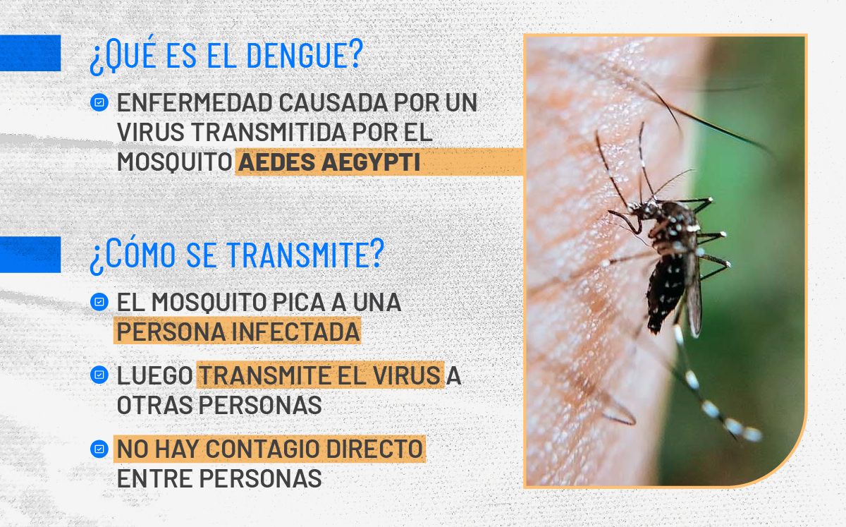 El dengue, una enfermedad que preocupa.