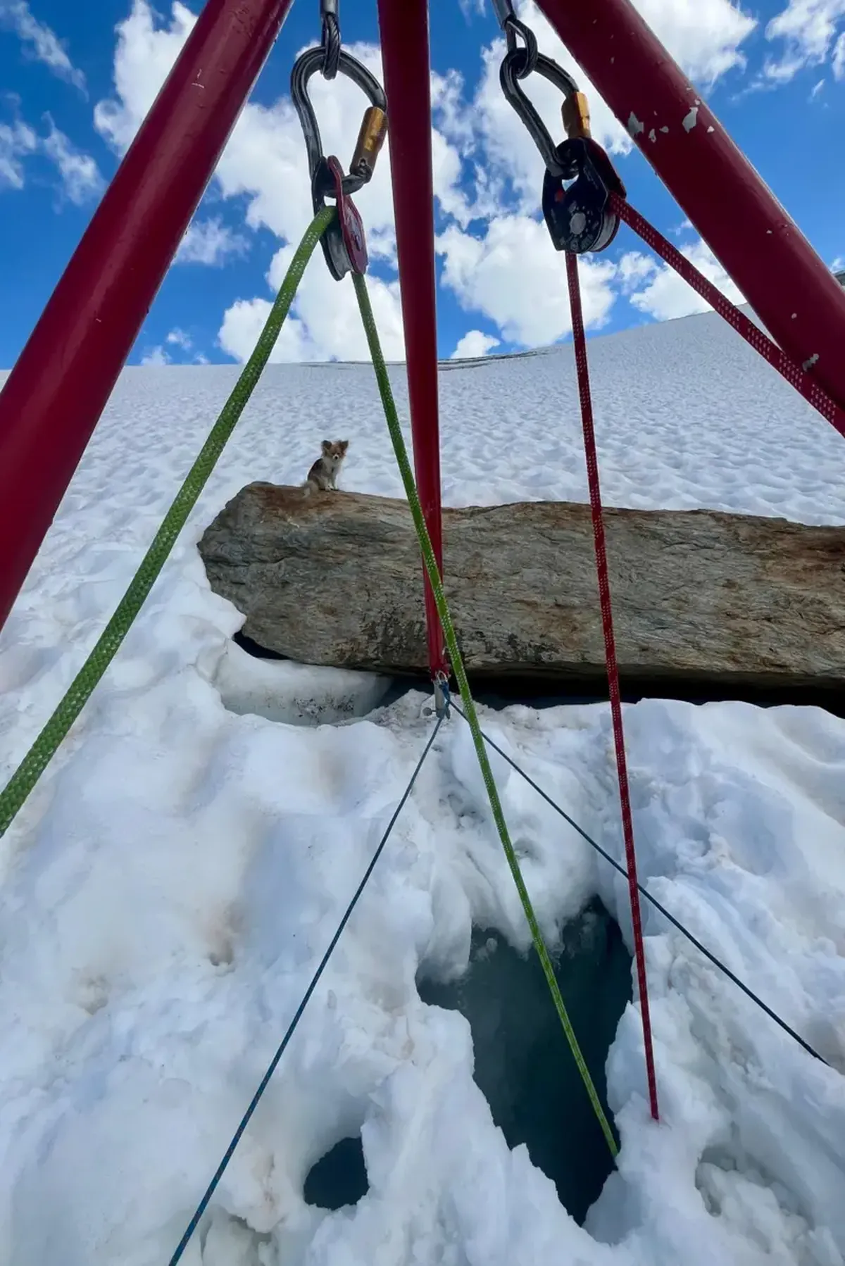 Cuando el helicóptero aterrizó, el viento de las aspas lanzó a Filip hacia atrás. Los rescatistas tuvieron que instalar una estructura para salvar a Jan.