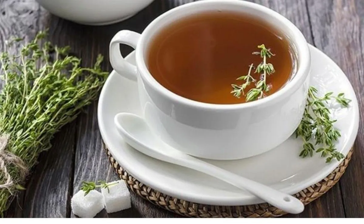 Beneficio de tomar té de orégano.