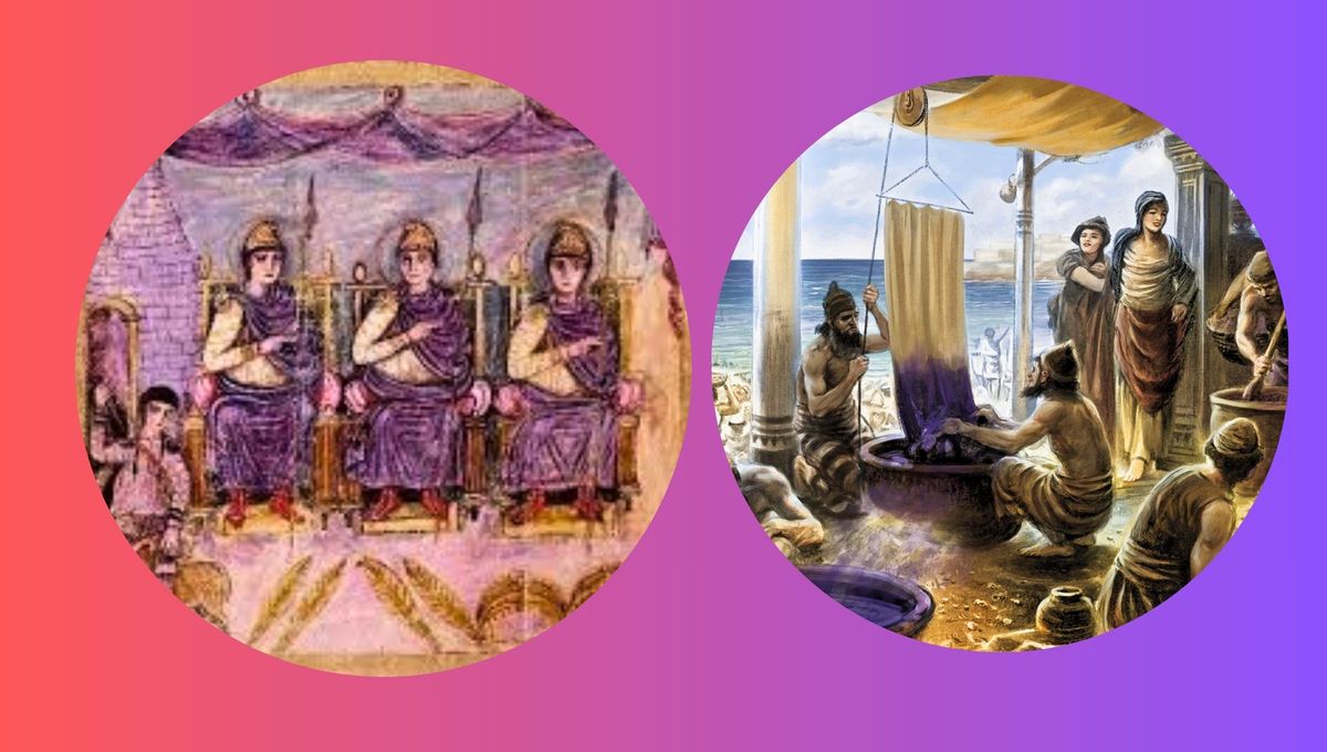 Durante siglos, el púrpura fue un color exclusivo de la aristocracia debido a la dificultad de obtener el tinte. Durante siglos, el púrpura fue un color exclusivo de la aristocracia debido a la dificultad de obtener el tinte.