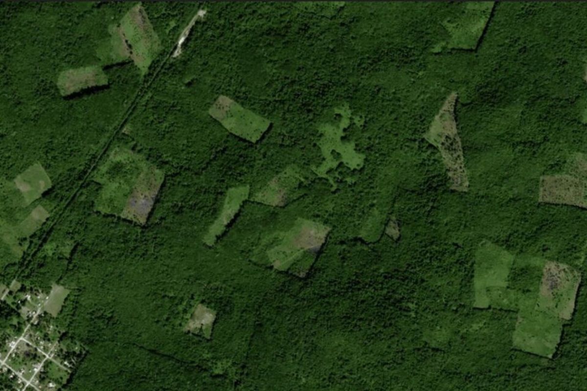 El descubrimiento de una gran ciudad maya oculta que dejó sin palabras a los científicos El descubrimiento de una gran ciudad maya oculta que dejó sin palabras a los científicos