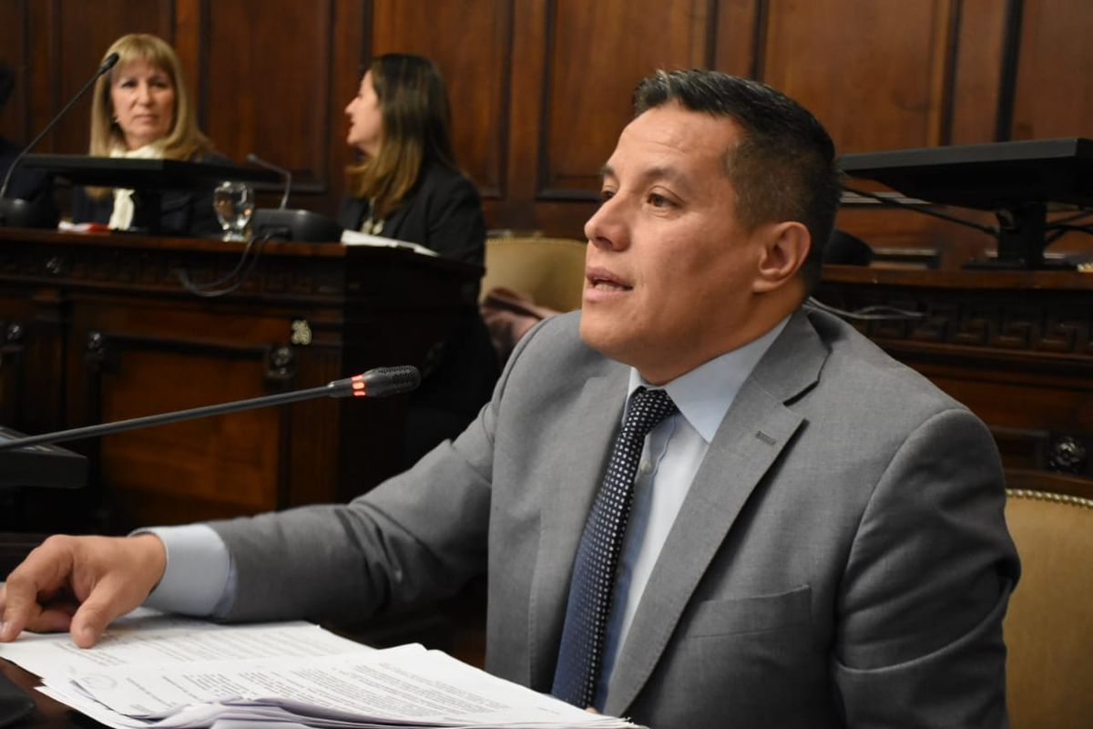 El radical David Sáez fue quien presentó el proyecto en el Senado. El radical David Sáez fue quien presentó el proyecto en el Senado.