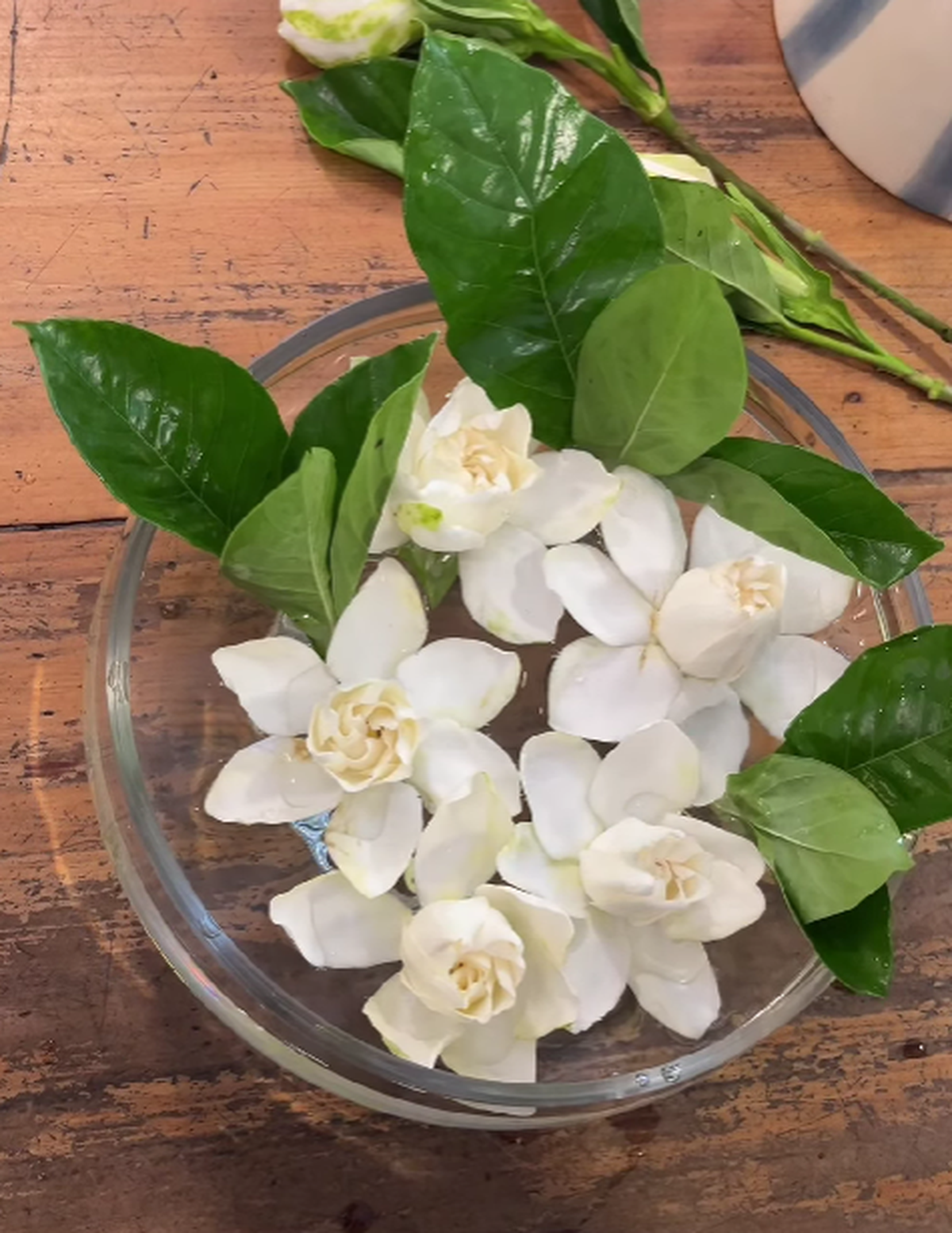 Asegúrate que las hojas del jazmín queden por fuera del agua. Asegúrate que las hojas del jazmín queden por fuera del agua.