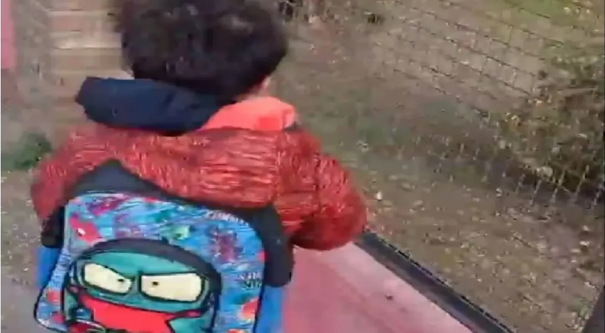 ¿Qué llevó? Video: la mochila de su hijo estaba pesada y lo que encontró fue inesperado.