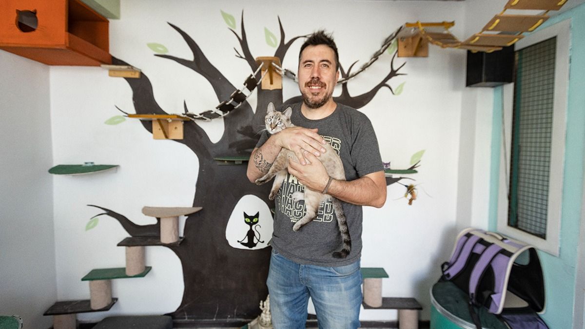Fernando Llera diseñó el hotel boutique Serafina para el cuidado felino. Tiene dos sucursales en Dorrego, Guaymallén. Fernando Llera diseñó el hotel boutique Serafina para el cuidado felino. Tiene dos sucursales en Dorrego, Guaymallén.