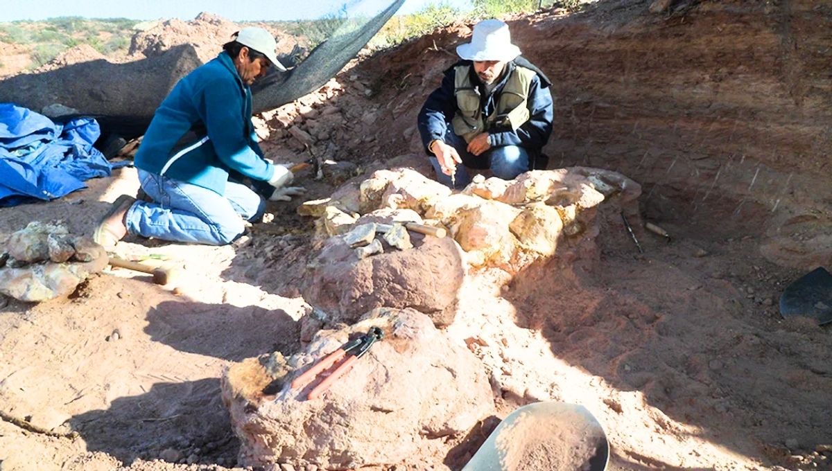 El camino hacia este descubrimiento comenzó en el año 2003.