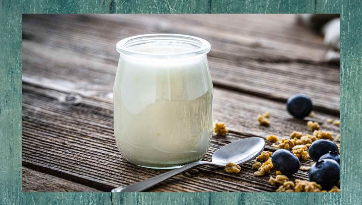Qué le pasa a mi cuerpo si como yogur todos los días