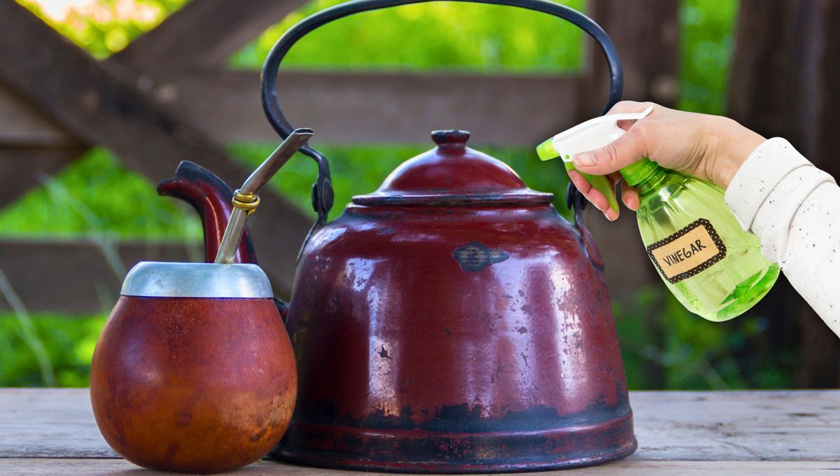 Por qué hay que rociar vinagre en el mate y la tetera: ¿qué significa?