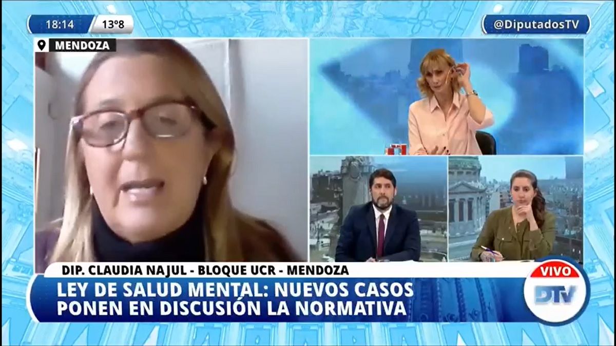 La mendocina Claudia Najul (UCR), una de las integrantes de la Cámara de Diputados que participó del debate.