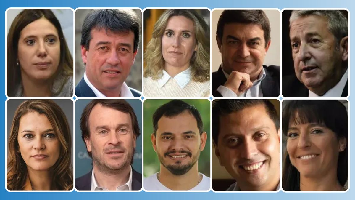 De los 10 diputados nacionales por Mendoza, sólo la kirchnerista Marisa Uceda no respondió si votará o no el acuerdo del FMI.