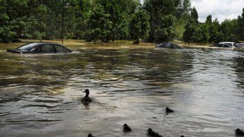 Alerta en Alemania por crecida del río Elba