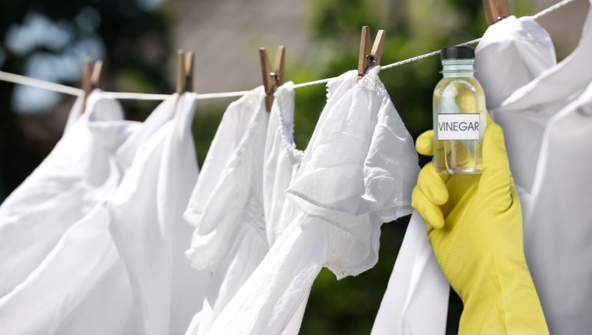 La ropa blanca se puede lavar usando un poco de vinagre.&nbsp;