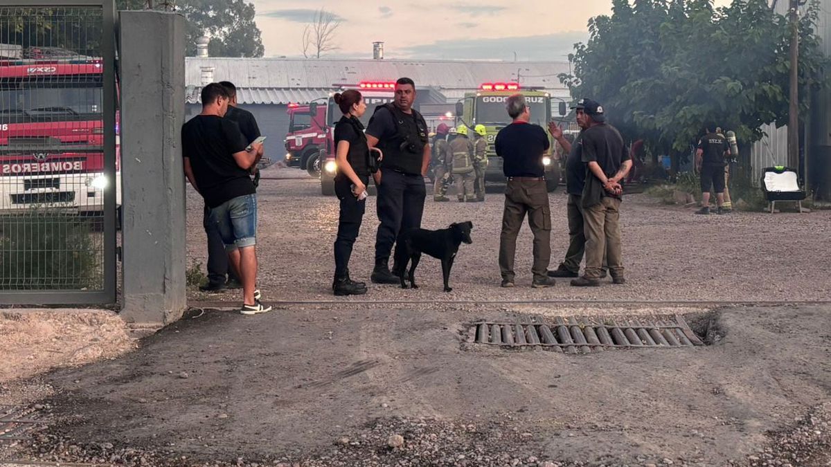 Las pérdidas fueron totales como consecuencia del incendio ocurrido en dos galpones de una fábrica de productos de copetín. Las pérdidas fueron totales como consecuencia del incendio ocurrido en dos galpones de una fábrica de productos de copetín.