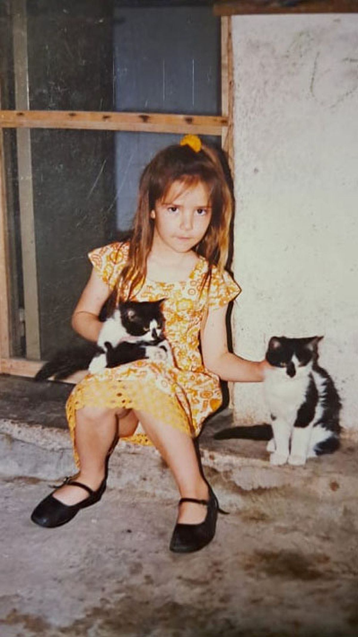 A la médica veterinaria Luiana Monllor le gustaban los gatos desde muy niña. A la médica veterinaria Luiana Monllor le gustaban los gatos desde muy niña.