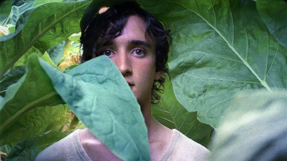 Adriano Tardiolo. El brillante actor italiano es el protagonista de el filme, Lazzaro feliz. Adriano Tardiolo. El brillante actor italiano es el protagonista de el filme, Lazzaro feliz.
