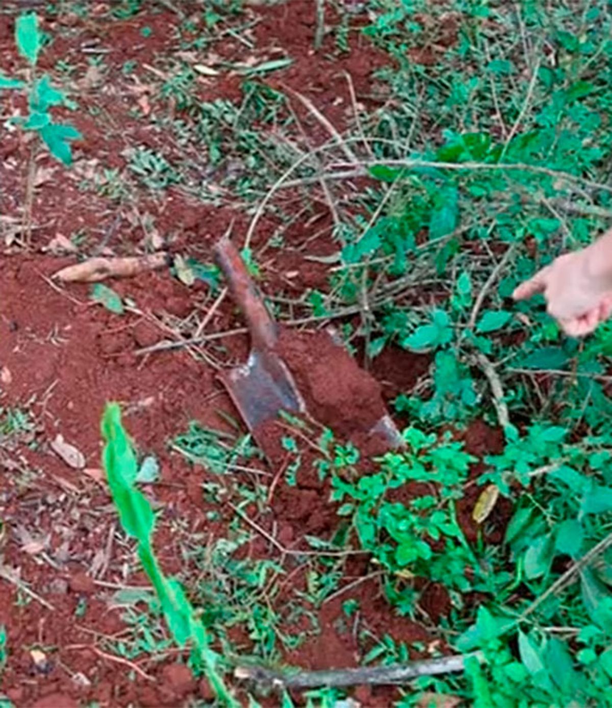 El joven de 24 años quiso enterrar a la menor en un pozo que ella misma habría cavado.