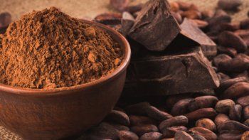 Aseguraron que el cambio climático afectará al cacao en 2050