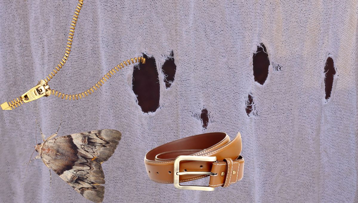 Por qué aparecen pequeños agujeros en mi ropa: cómo arreglarlos y ...