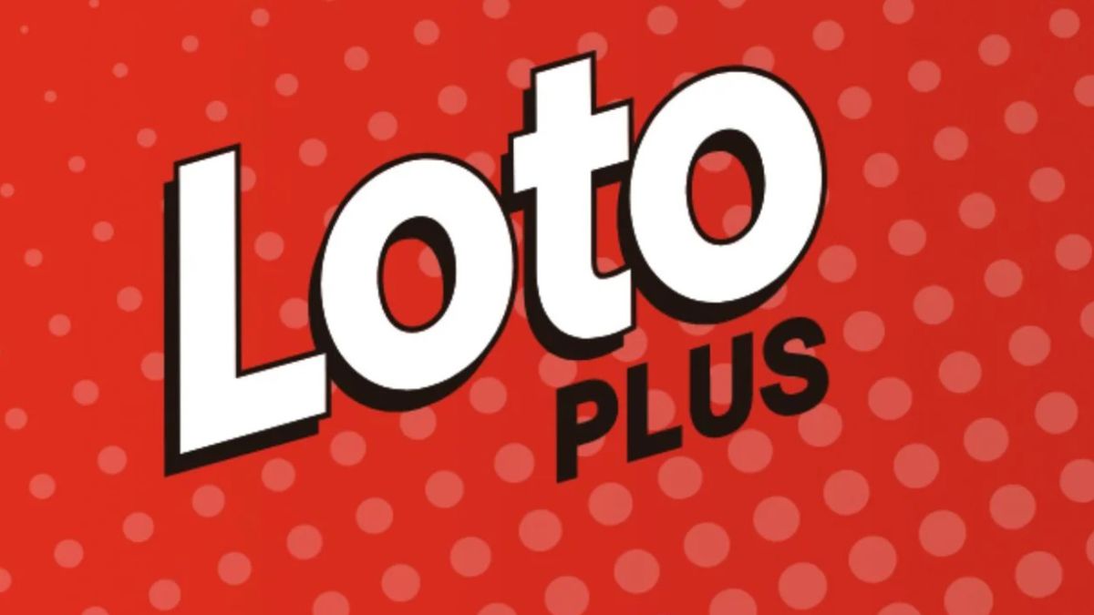 Loto Plus sorteo 3662 del miércoles 3 de abril: controlar los números de tu jugada