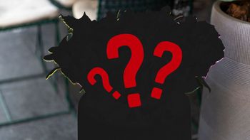 Feng Shui: cuál es la planta que jamás debes tener en casa porque atrae desgracia y mala suerte Feng Shui: cuál es la planta que jamás debes tener en casa porque atrae desgracia y mala suerte