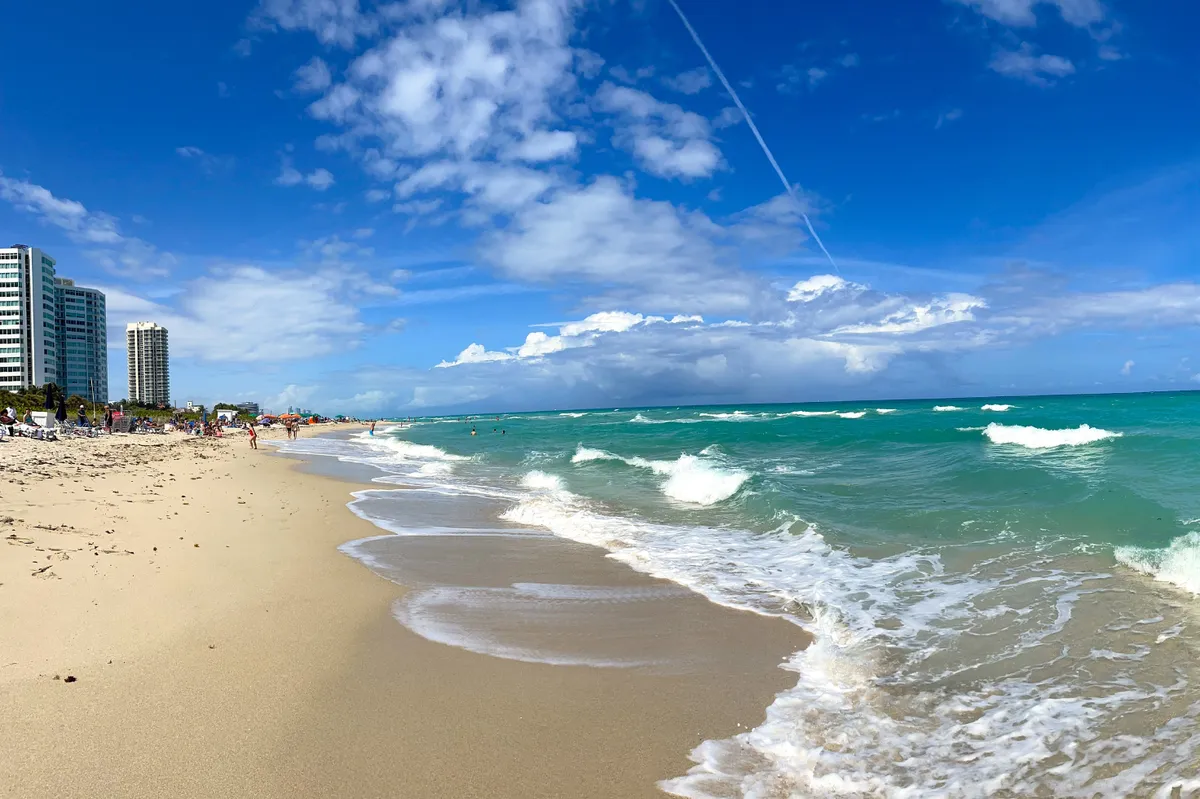 La plaga que llegará a Florida este verano: los turistas no estarán a salvo