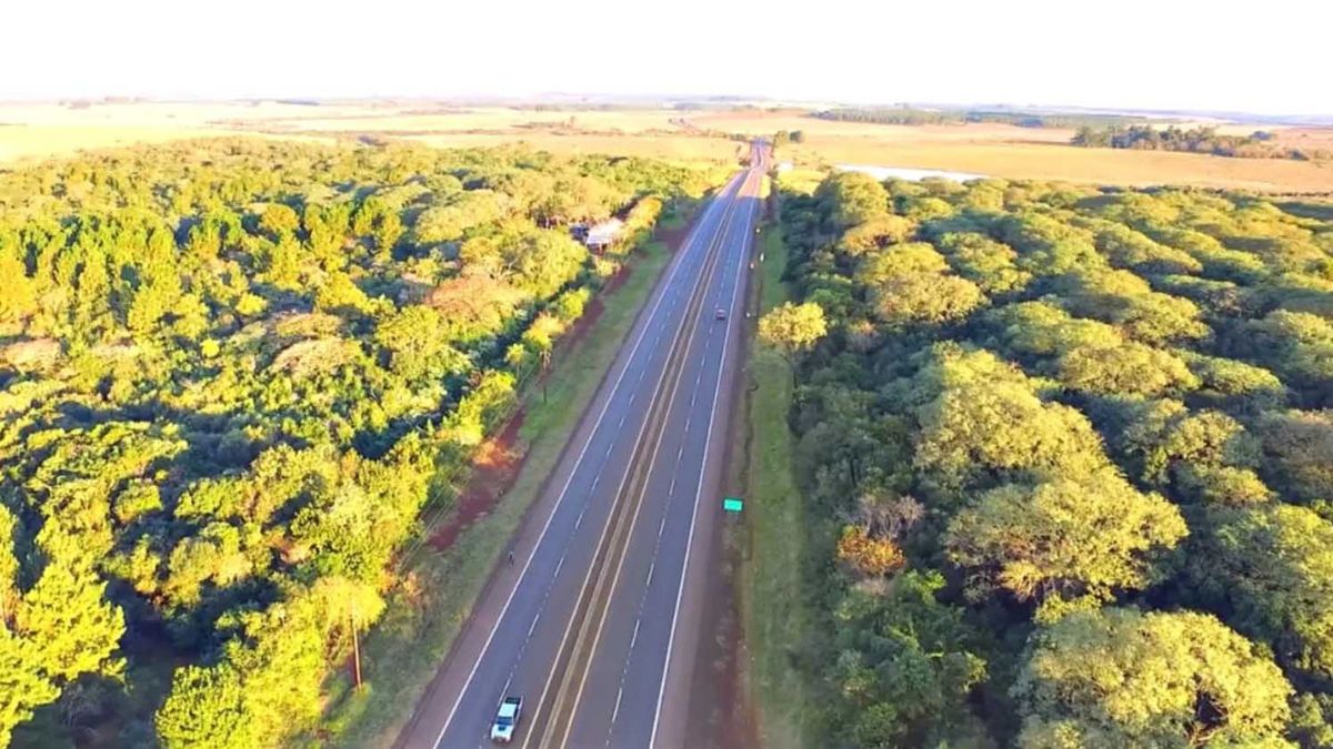 Horror en Misiones. Un hombre fue hallado sin vida, con el cuerpo semidesnudo y sin ojos. Horror en Misiones. Un hombre fue hallado sin vida, con el cuerpo semidesnudo y sin ojos. 