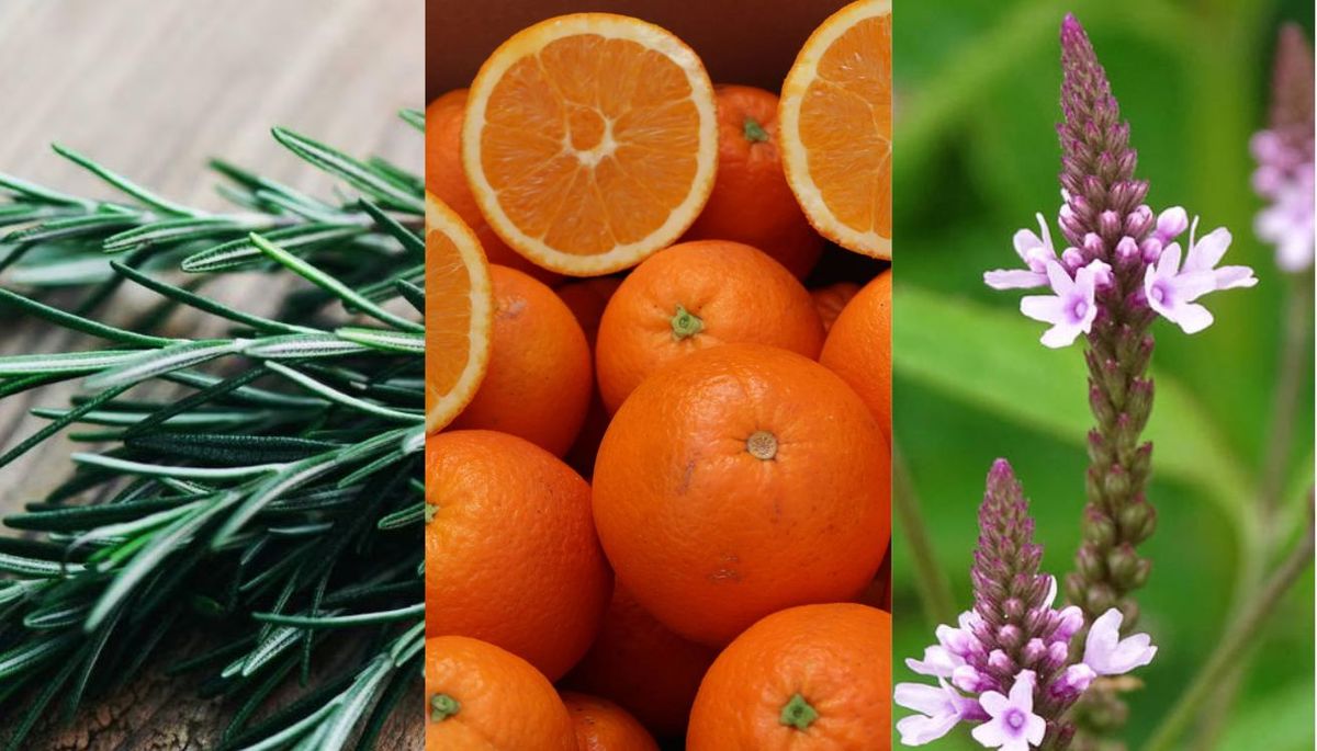 Prepara un aromatizante casero fresco y único. Imagen: Redacción Diario Uno